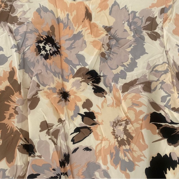 Beautiful Fossil Pastel 100% Silk Shift Dress, Zipper-back & Lined *EUC* - Picture 4 of 13